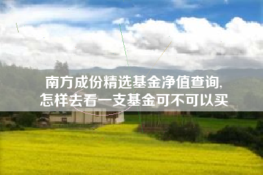 南方成份精选基金净值查询,
怎样去看一支基金可不可以买