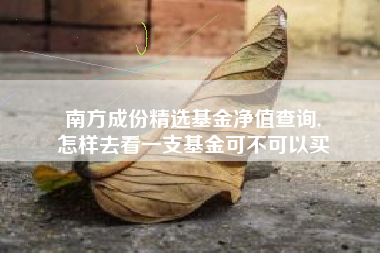南方成份精选基金净值查询,
怎样去看一支基金可不可以买