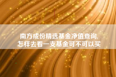 南方成份精选基金净值查询,
怎样去看一支基金可不可以买