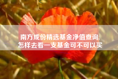 南方成份精选基金净值查询,
怎样去看一支基金可不可以买