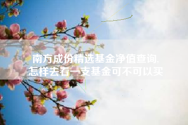 南方成份精选基金净值查询,
怎样去看一支基金可不可以买