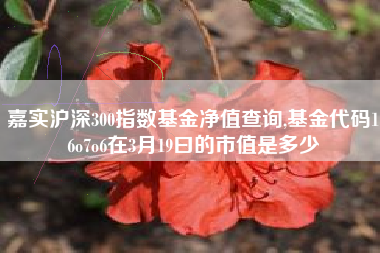 嘉实沪深300指数基金净值查询,基金代码16o7o6在3月19曰的市值是多少