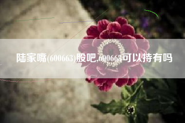陆家嘴(600663)股吧,600663可以持有吗