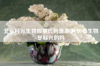 北京科兴生物股票代码是多少,长春生物是科兴的吗
