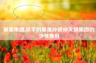 星星集团,放羊的星星仲威仲天骐集团的少爷身份