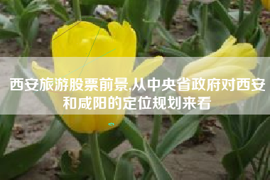 西安旅游股票前景,从中央省政府对西安和咸阳的定位规划来看