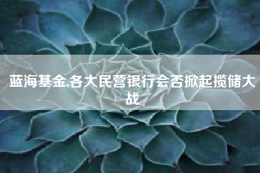 蓝海基金,各大民营银行会否掀起揽储大战