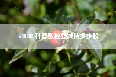 688305,科德数控要减持多少股