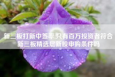 新三板打新中签率,只有百万投资者符合新三板精选层新股申购条件吗