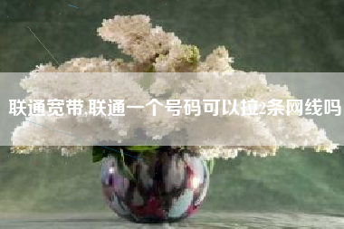 联通宽带,联通一个号码可以拉2条网线吗