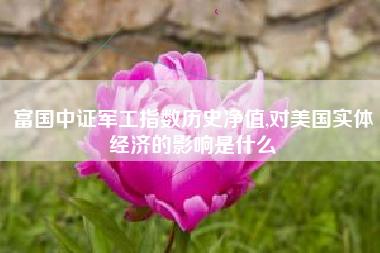 富国中证军工指数历史净值,对美国实体经济的影响是什么