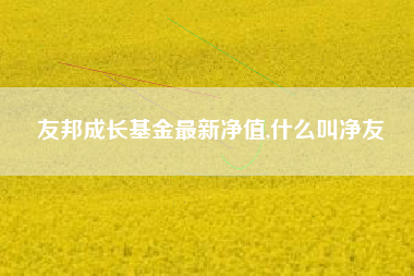 友邦成长基金最新净值,什么叫净友