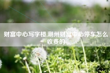 财富中心写字楼,潮州财富中心停车怎么收费的