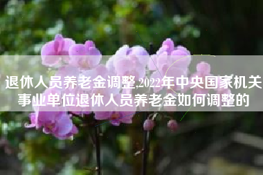 退休人员养老金调整,2022年中央国家机关事业单位退休人员养老金如何调整的