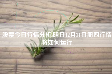 股票今日行情分析,明日12月31日周四行情将如何运行
