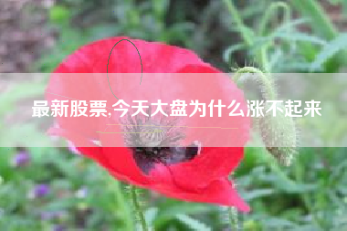 最新股票,今天大盘为什么涨不起来