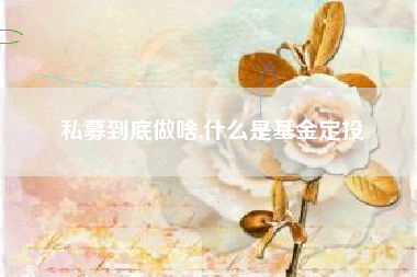 私募到底做啥,什么是基金定投