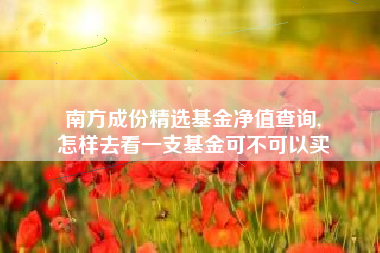 南方成份精选基金净值查询,
怎样去看一支基金可不可以买