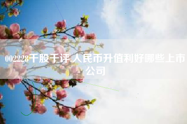 002228千股千评,人民币升值利好哪些上市公司