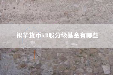 银华货币b,B股分级基金有哪些