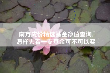 南方成份精选基金净值查询,
怎样去看一支基金可不可以买