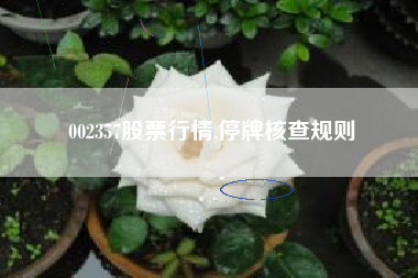 002357股票行情,停牌核查规则