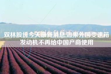 双林股份今天最新消息,如果外国变速箱发动机不再给中国产商使用