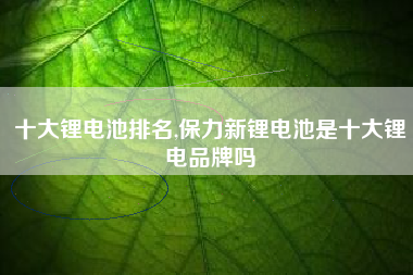 十大锂电池排名,保力新锂电池是十大锂电品牌吗