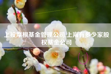 上投摩根基金管理公司,上海有多少家股权基金公司