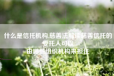 什么是信托机构,慈善法解读慈善信托的受托人可以
由哪些组织机构来担任 什么是信托机构,慈善法解读慈善信托的受托人可以
由哪些组织机构来担任