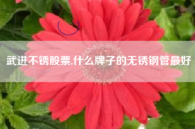 武进不锈股票,什么牌子的无锈钢管最好