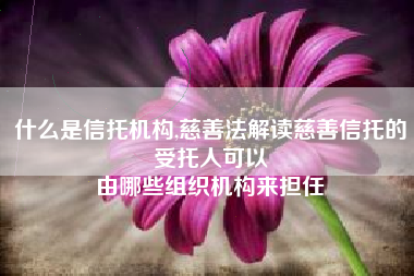 什么是信托机构,慈善法解读慈善信托的受托人可以
由哪些组织机构来担任 什么是信托机构,慈善法解读慈善信托的受托人可以
由哪些组织机构来担任