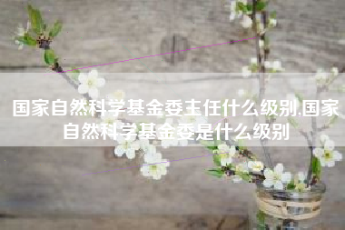 国家自然科学基金委主任什么级别,国家自然科学基金委是什么级别