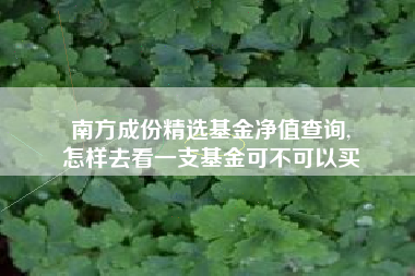 南方成份精选基金净值查询,
怎样去看一支基金可不可以买
