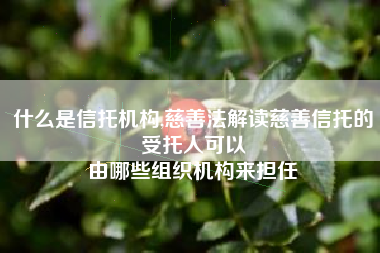 什么是信托机构,慈善法解读慈善信托的受托人可以
由哪些组织机构来担任 什么是信托机构,慈善法解读慈善信托的受托人可以
由哪些组织机构来担任