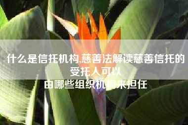 什么是信托机构,慈善法解读慈善信托的受托人可以
由哪些组织机构来担任 什么是信托机构,慈善法解读慈善信托的受托人可以
由哪些组织机构来担任