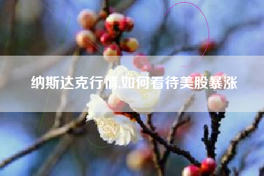 纳斯达克行情,如何看待美股暴涨