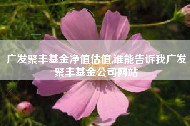 广发聚丰基金净值估值,谁能告诉我广发聚丰基金公司网站