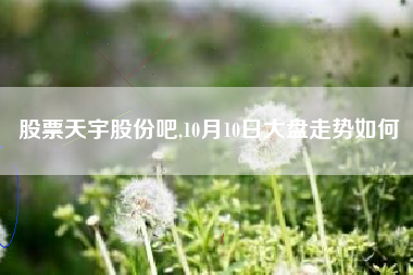股票天宇股份吧,10月10日大盘走势如何
