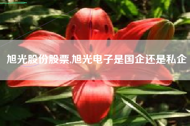 旭光股份股票,旭光电子是国企还是私企