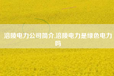 涪陵电力公司简介,涪陵电力是绿色电力吗