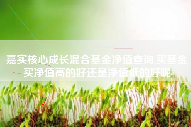 嘉实核心成长混合基金净值查询,买基金买净值高的好还是净值低的好呢