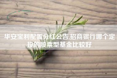 华安宝利配置分红公告,招商银行哪个定投的股票型基金比较好