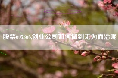 股票603366,创业公司如何做到无为而治呢