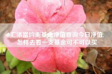 汇添富均衡基金净值查询今日净值,
怎样去看一支基金可不可以买