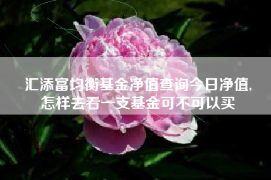 汇添富均衡基金净值查询今日净值,
怎样去看一支基金可不可以买