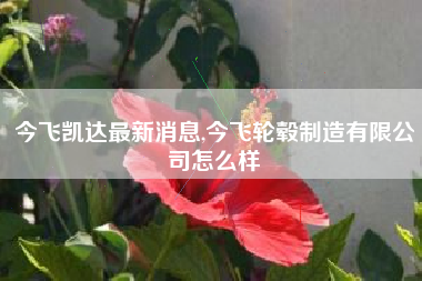 今飞凯达最新消息,今飞轮毂制造有限公司怎么样