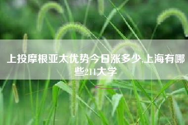 上投摩根亚太优势今日涨多少,上海有哪些211大学