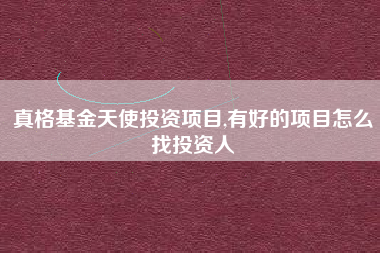 真格基金天使投资项目,有好的项目怎么找投资人