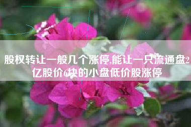 股权转让一般几个涨停,能让一只流通盘2亿股价6块的小盘低价股涨停